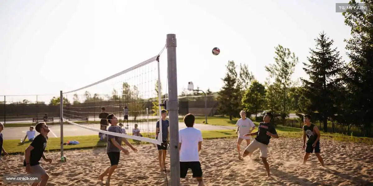 为什么选择我们